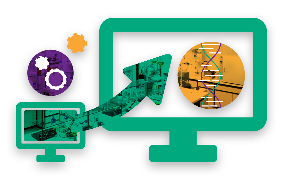 IT Infrastructure Roadmap Planning and Implementation