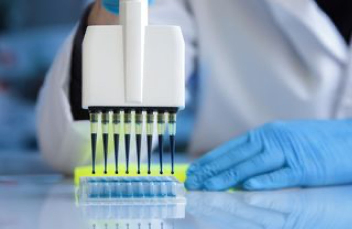 Our Solutions Will Enable You To: