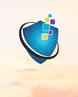 Lifecycle Services – Guardian Support